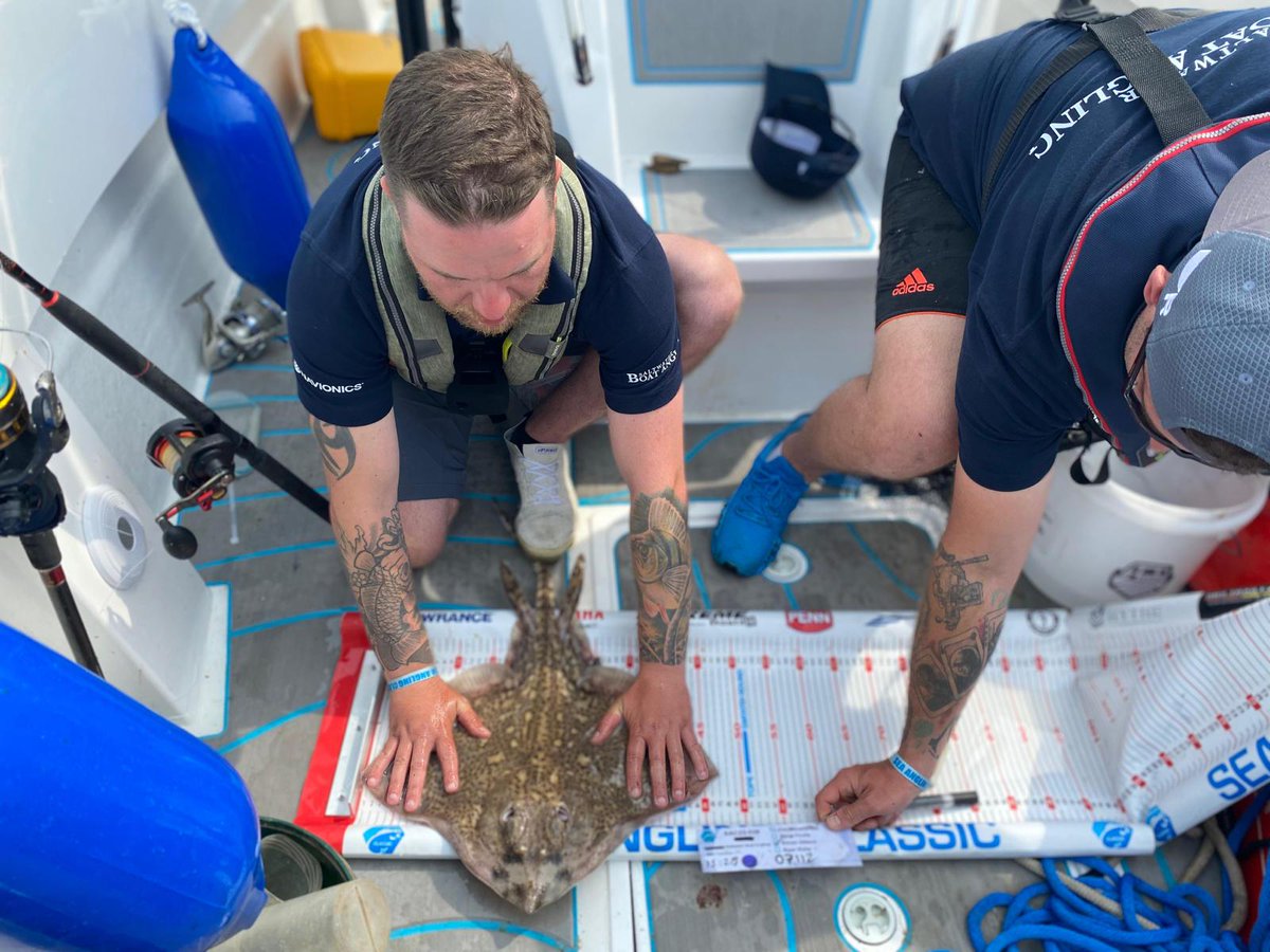 Saltwater Angling Media tweet media