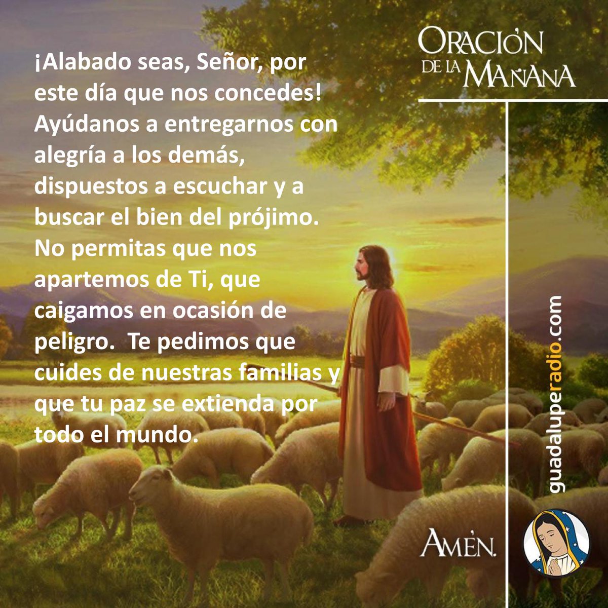 ¡Alabado seas, Señor, por este día que nos concedes!
#OracionMañana
#GuadalupeRadio