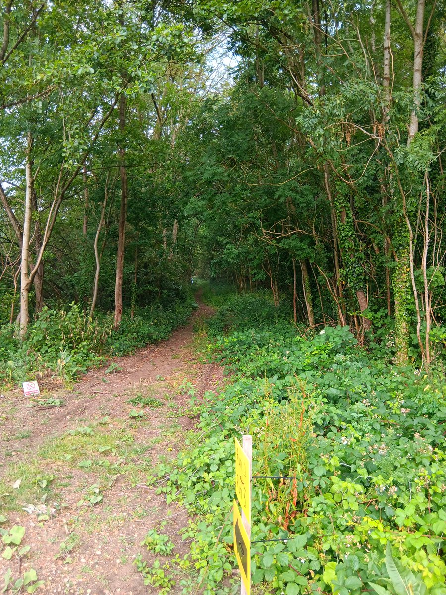 James Knight tweet media