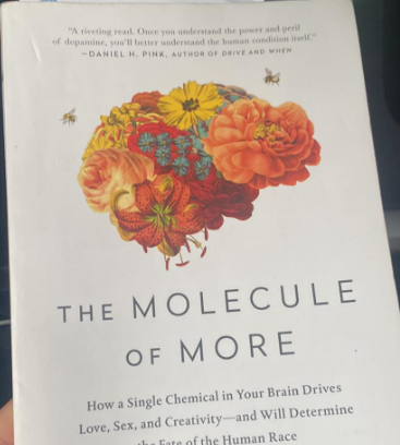 Vapingit's tweet photo. So, this - @ChaunceyGardner @imaracingmom @PruenRichard... my nephew is reading it...
#Dopamine #Neurodiversity #brainstuff.
seen it...? https://t.co/j7npCCknuz