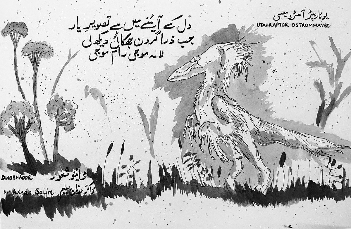 #Dinoshaoor 

#اردو #اردو_شاعری #اردو_ادب #اردو_زبان #ڈائینوسار 
#UrduPoetry #UrduShairi #urdushayari #Urdu #dinosaurs 
#utahraptor

Adding feathers is an addition to my art that I enjoy. Expect to see more feathered theropods 😁