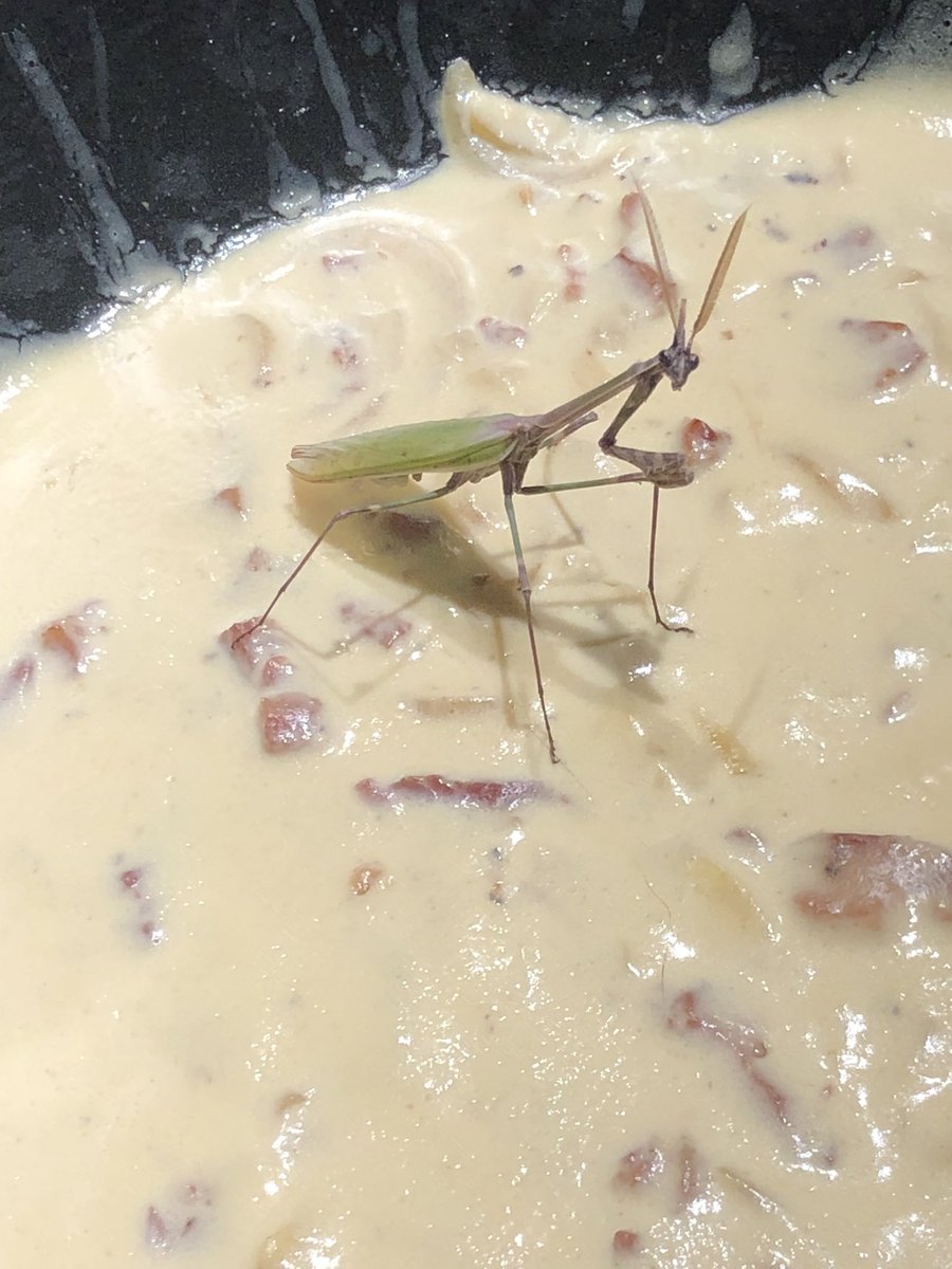 c'est une dinguerie de s'assoir dans de la sauce carbo comme ça ???