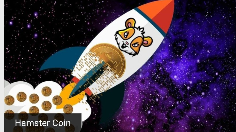 @WH4LE5 Of course
#HamsterCoin 
<a href="/_hamster_coin/">HAMSTER COIN</a>