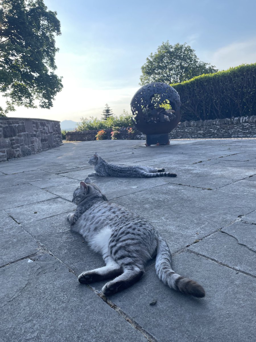 Life’s hard when you’re a mau…#toasty