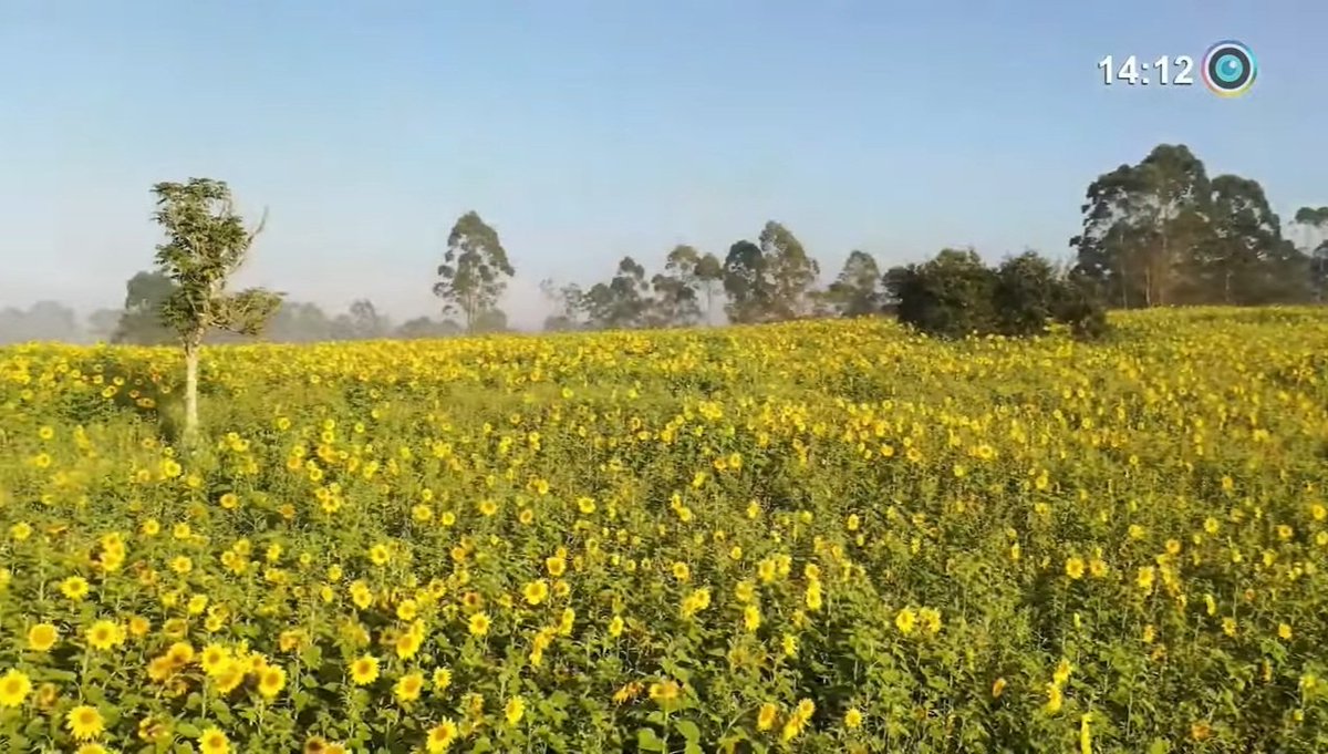 GuiomarMarize's tweet photo. Ao levantar, coloque sempre os bons sentimentos em primeiro lugar e deixe o Bem se manifestar !... Agradeça a Bênção de estar em Família, junto daqueles a quem quer bem e construa um tempo de Paz, vivendo bons e Felizes momentos !...
BOM DIA !
#vamosorar
#comfe
#agradecersempre https://t.co/qVyqfERkhT