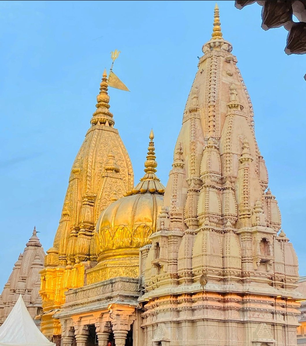 HinduTalksOnly's tweet photo. Drop a picture of Temple from your gallery🚩

Kashi Vishwanath Dham ,Banaras https://t.co/F0wcBckCjP