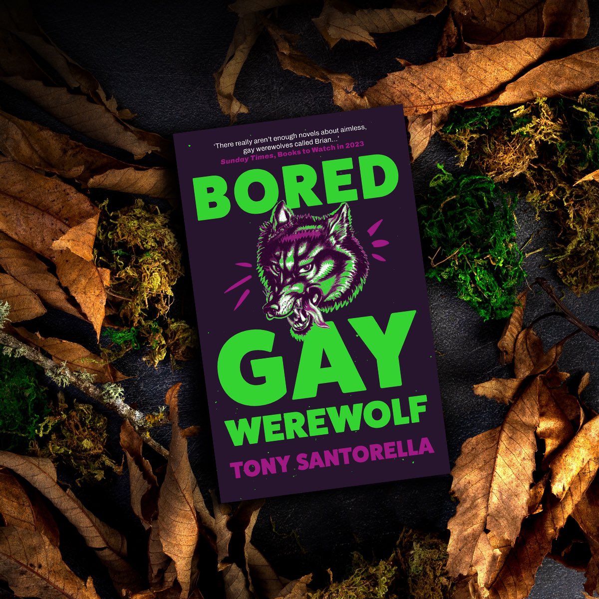 🚨NOW: #BoredGayWerewolf is out now on Waterstones