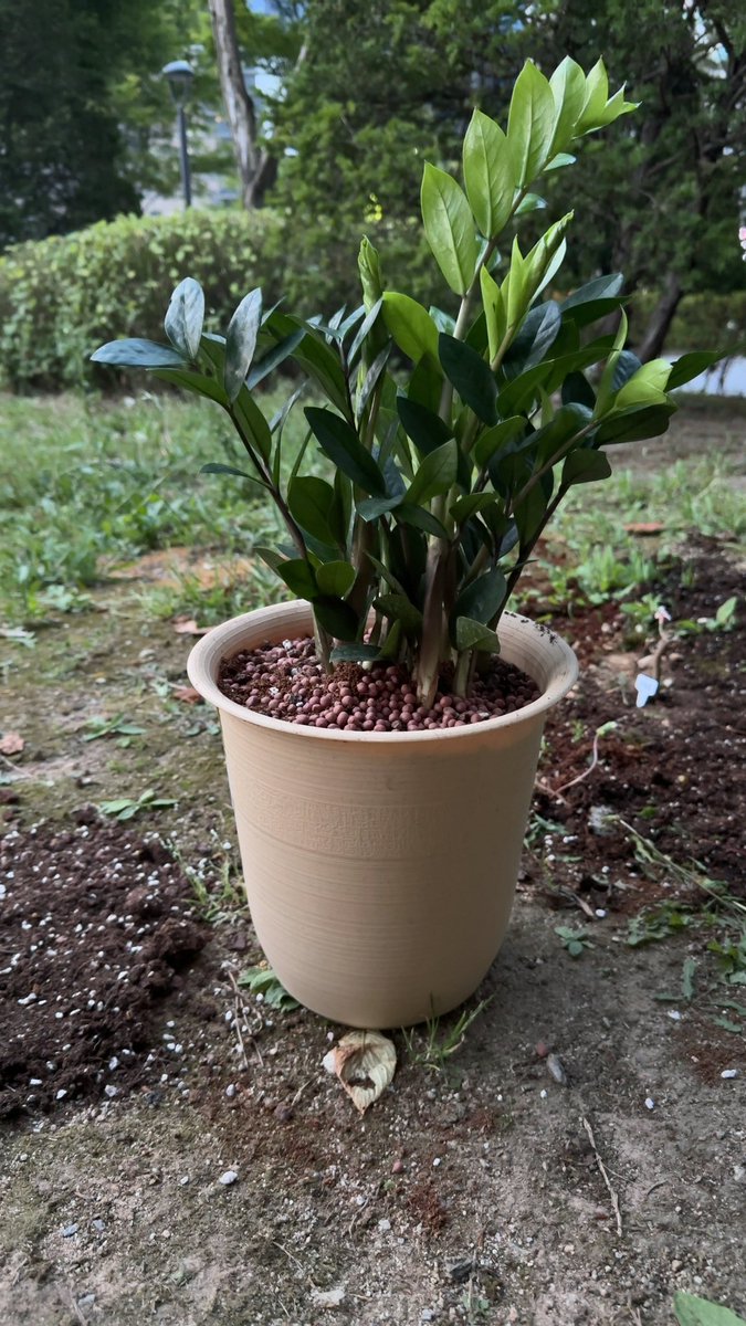 Junghwan Park tweet media