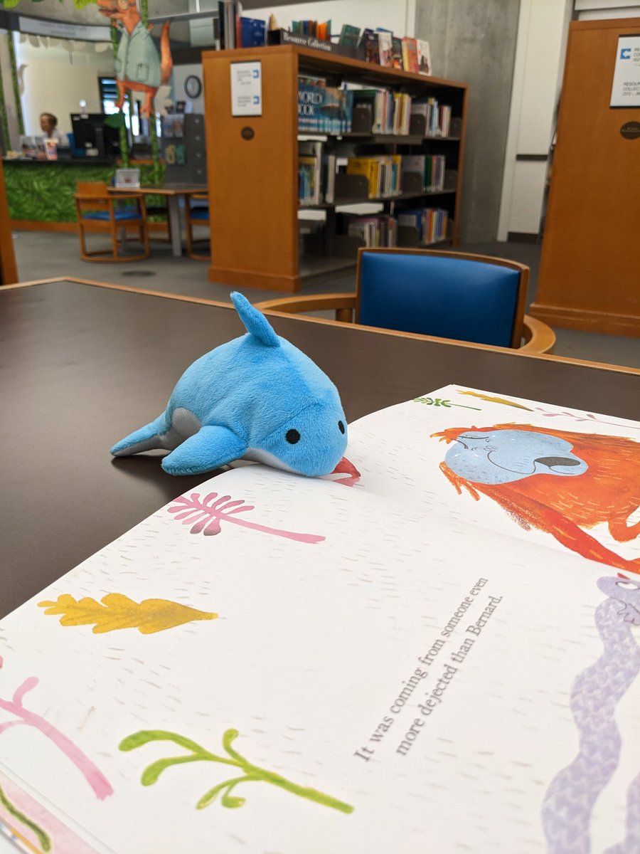 LazarusCohen's tweet photo. Dash goes to the library @DolvinES #adventureswitgdash #DolvIncredible https://t.co/IpbrFysun0