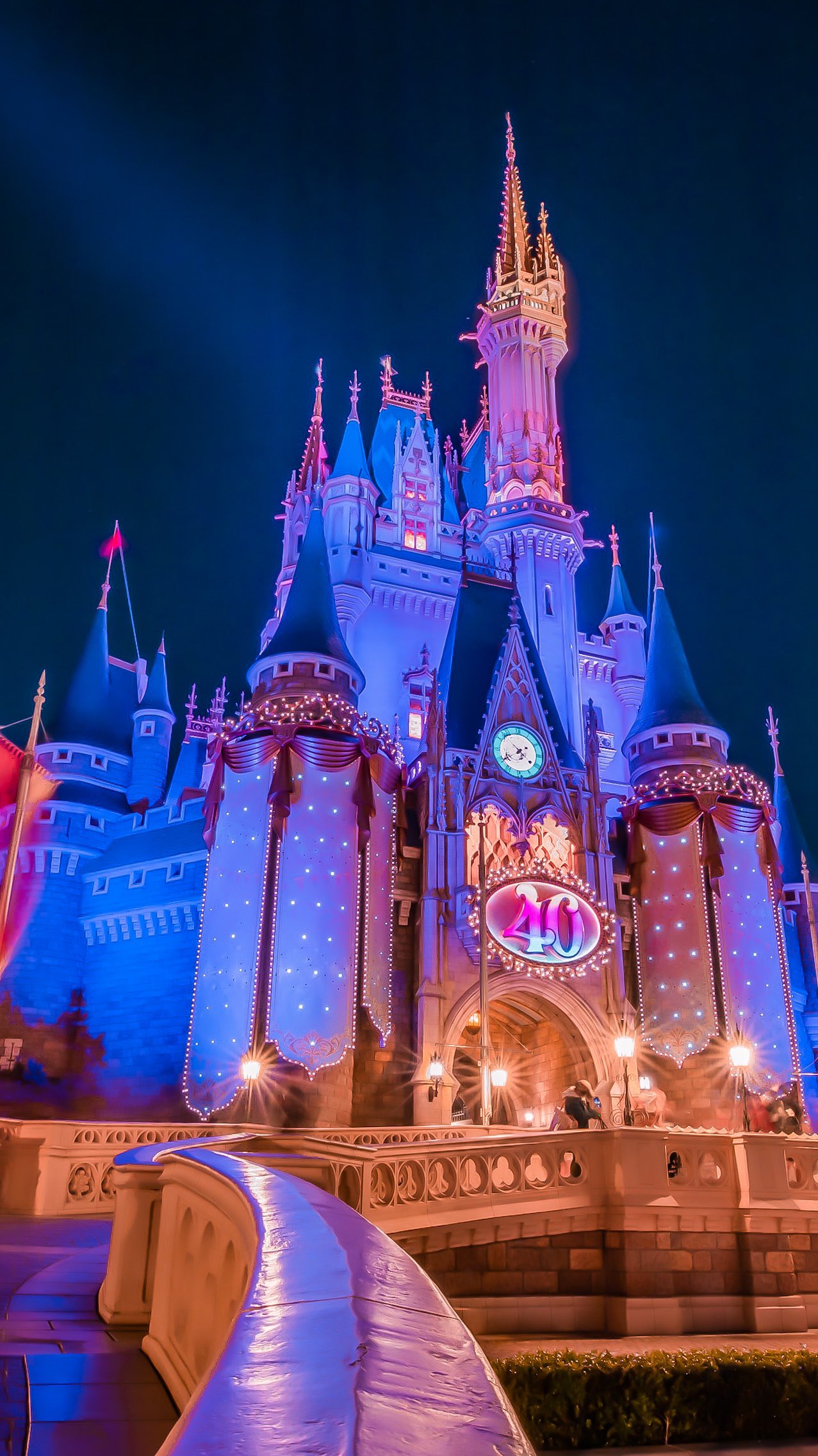 Amazon.co.jp: フォトフレーム 東京ディズニーランド 40周年