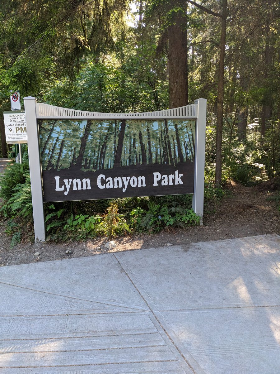 LazarusCohen's tweet photo. Dash goes hiking in Vancouver BC, Canada @DolvinES #adventureswithDash #Dolvincredible https://t.co/ZegU5DuNgg