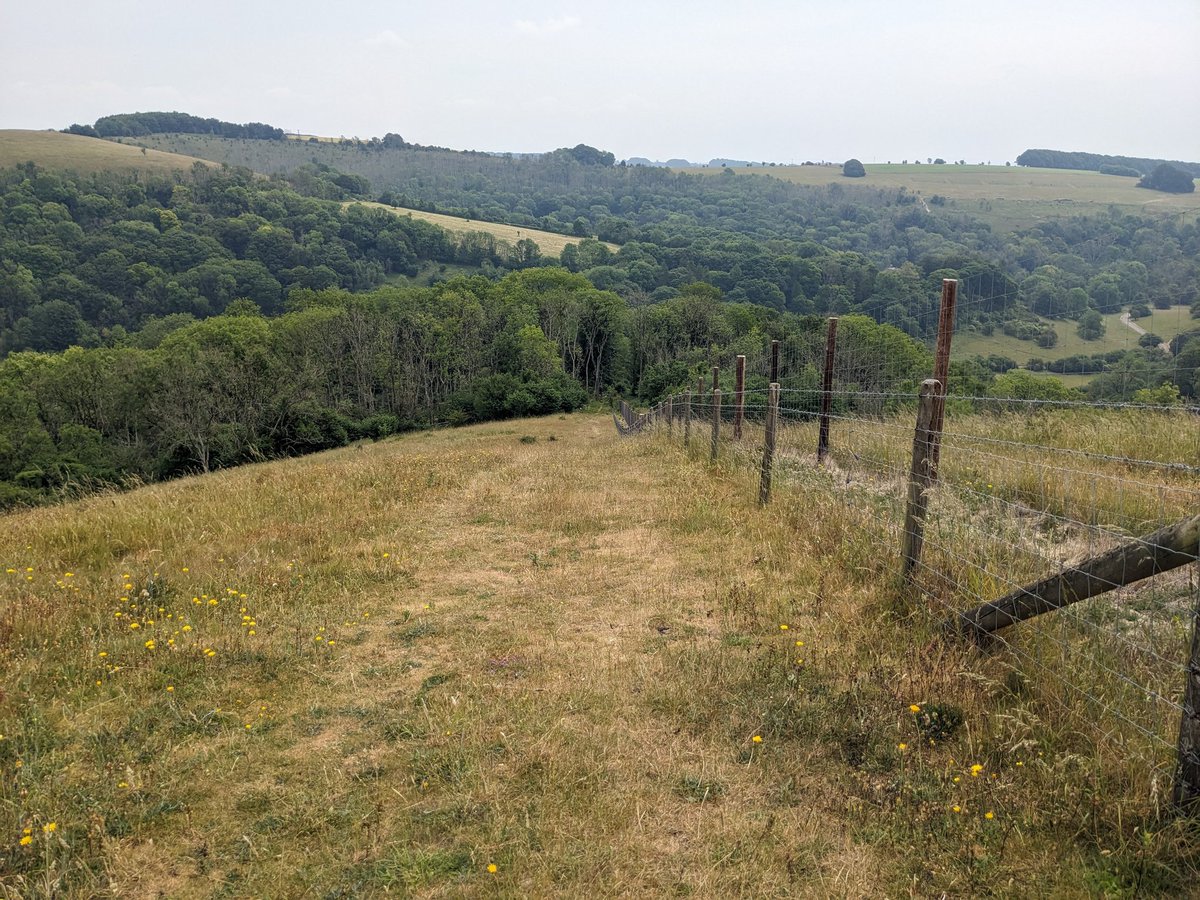 Another set of pics Part 2 of Hardy Way, Win Green and Wessex Ridgeway #WiltshireWalks