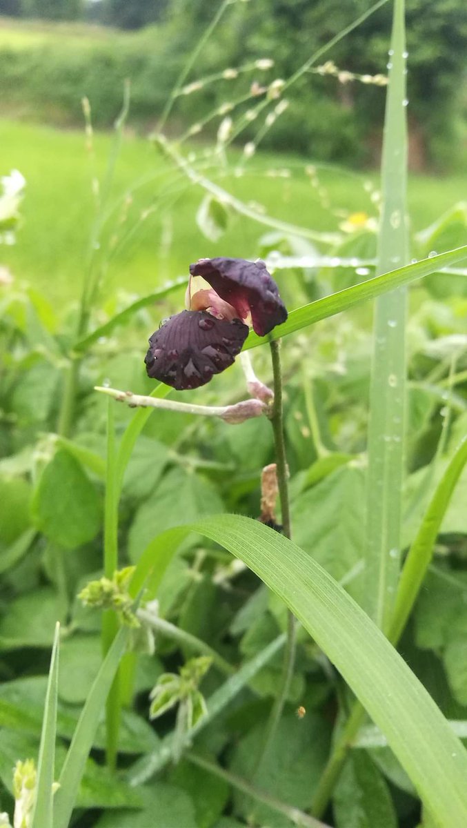 thibanxindi9's tweet image. "ความน่านับถือ..ไม่ได้ขึ้นอยู่กับอายุ 
"มันขึ้นอยู่กับ..การกระทำ และคำพูดนะ 🤫❗❗