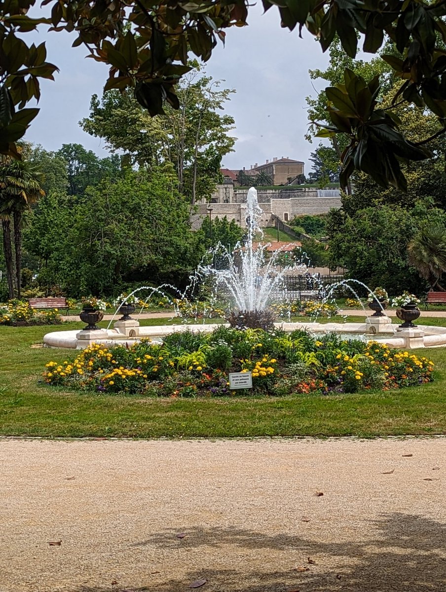 Alex Carbonneau 🐊 tweet media