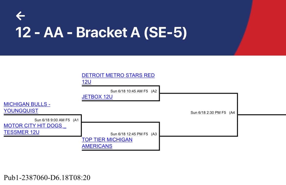 Detroit Metro Stars 13U Red 2024 tweet media