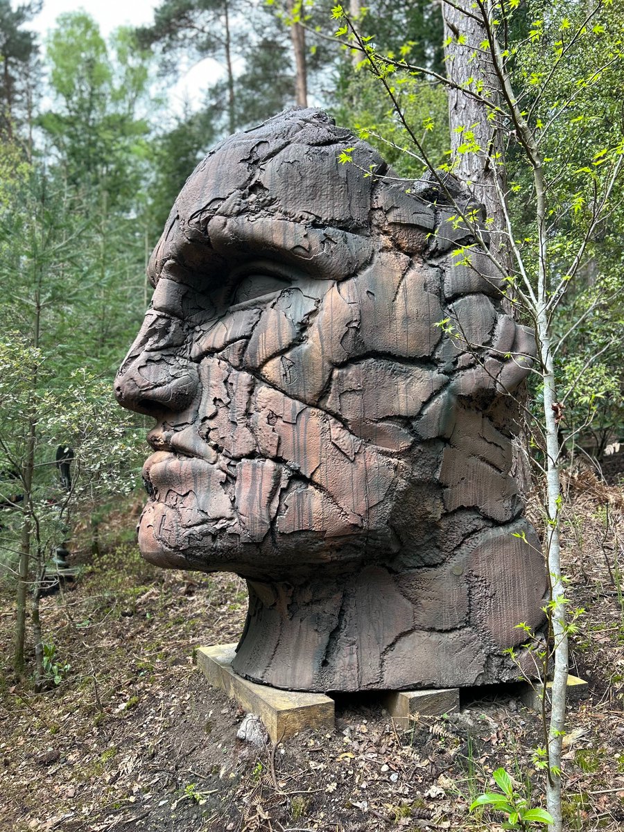 'Guardian' by Rod Vass, guarding our gardens! 🗿✨

#sculpture #gardens #woodlandwalks #nature #art
thesculpturepark.com/guardian-by-ro…