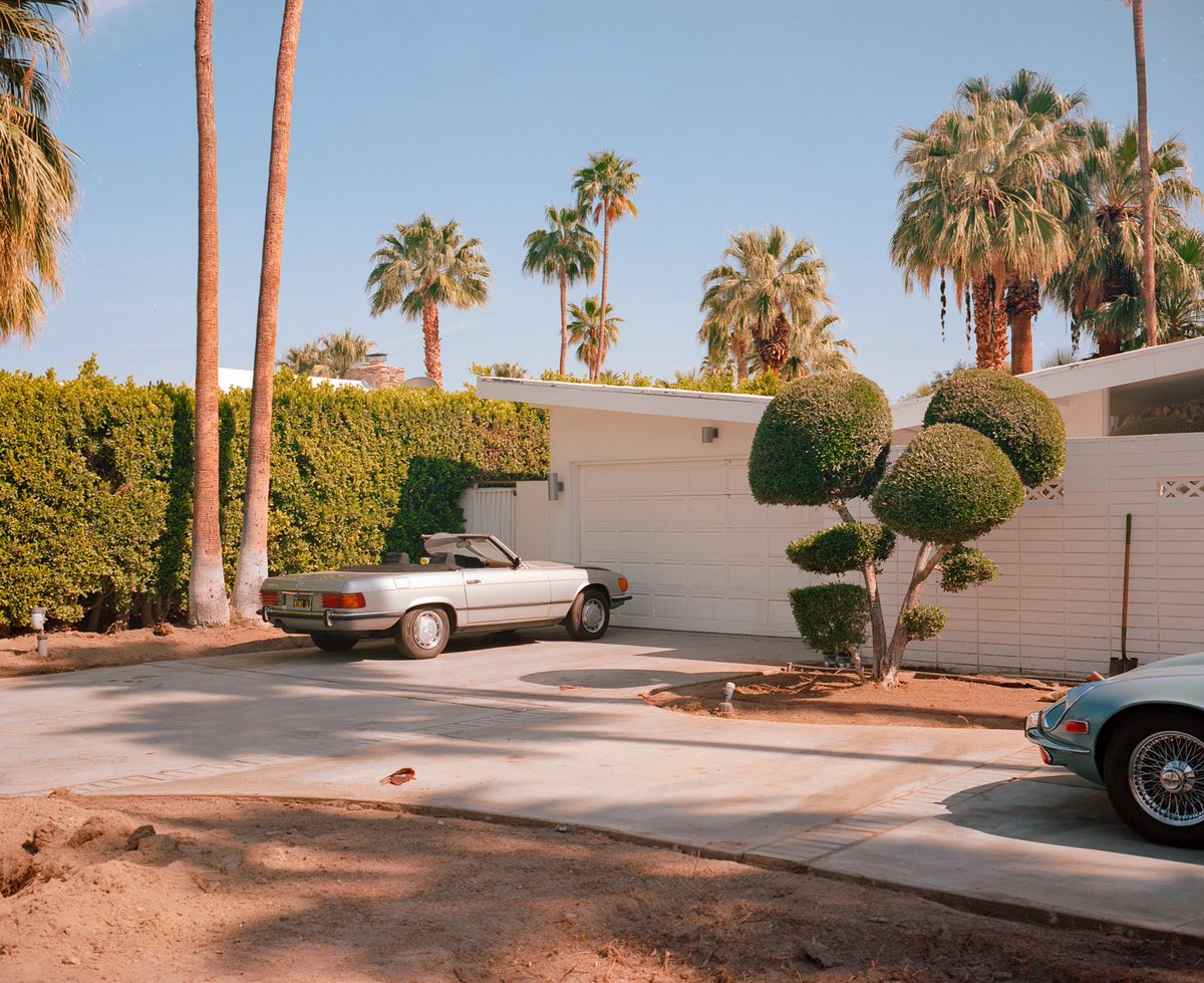 Alessandro Indaco tweet media