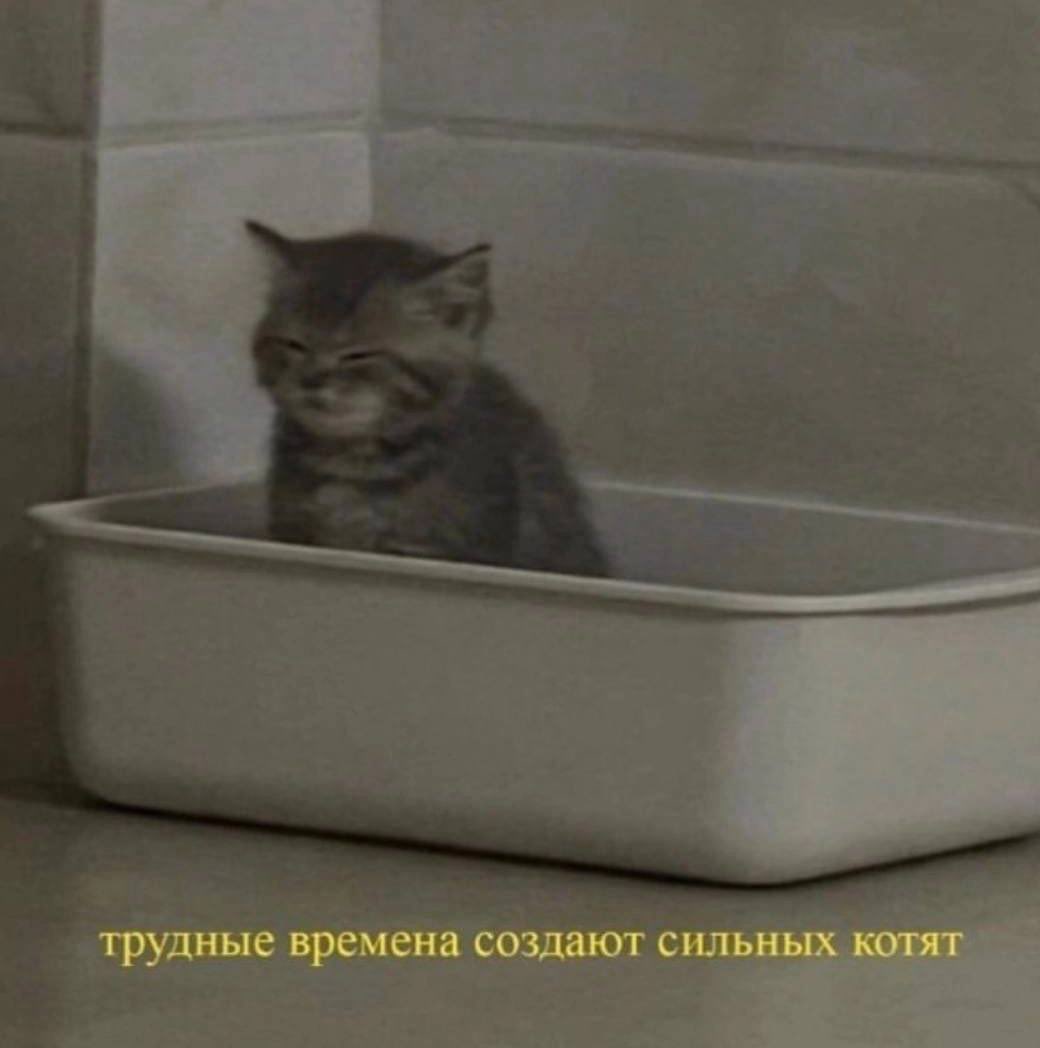 ДРУЗЬЯ самое время напомнить что