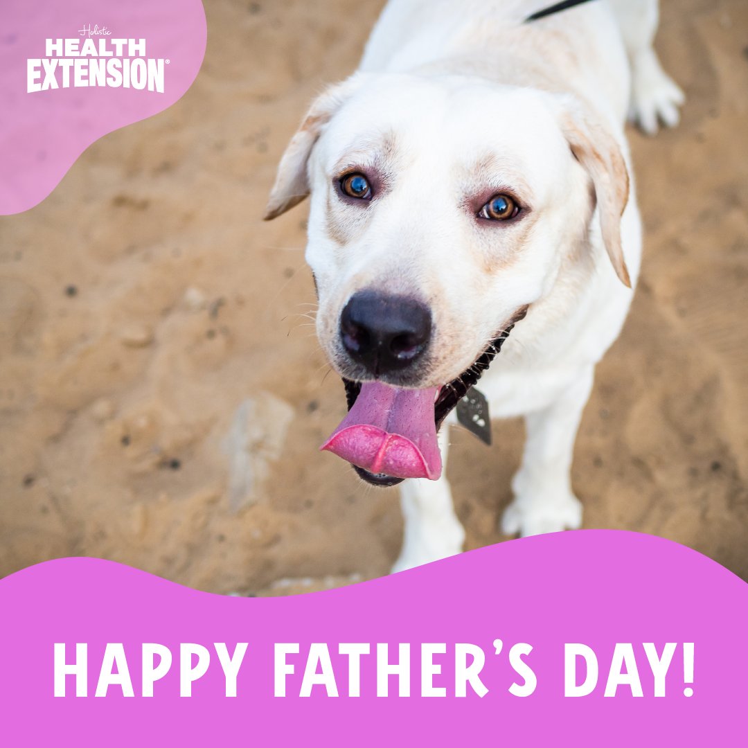 HealthExtension's tweet photo. Happy Father’s Day to all the wonderful Dads and Dog Dads out there! 💜

#fathersday2023 #fathers #dadsofig https://t.co/y7tESKTHEz