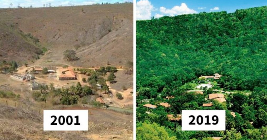 Fotoğrafçı ve Eşi, yok olan ormanı eski haline getirmek için 20 yılda 2 milyon ağaç dikti ve hayvanlar geri döndü.❤️