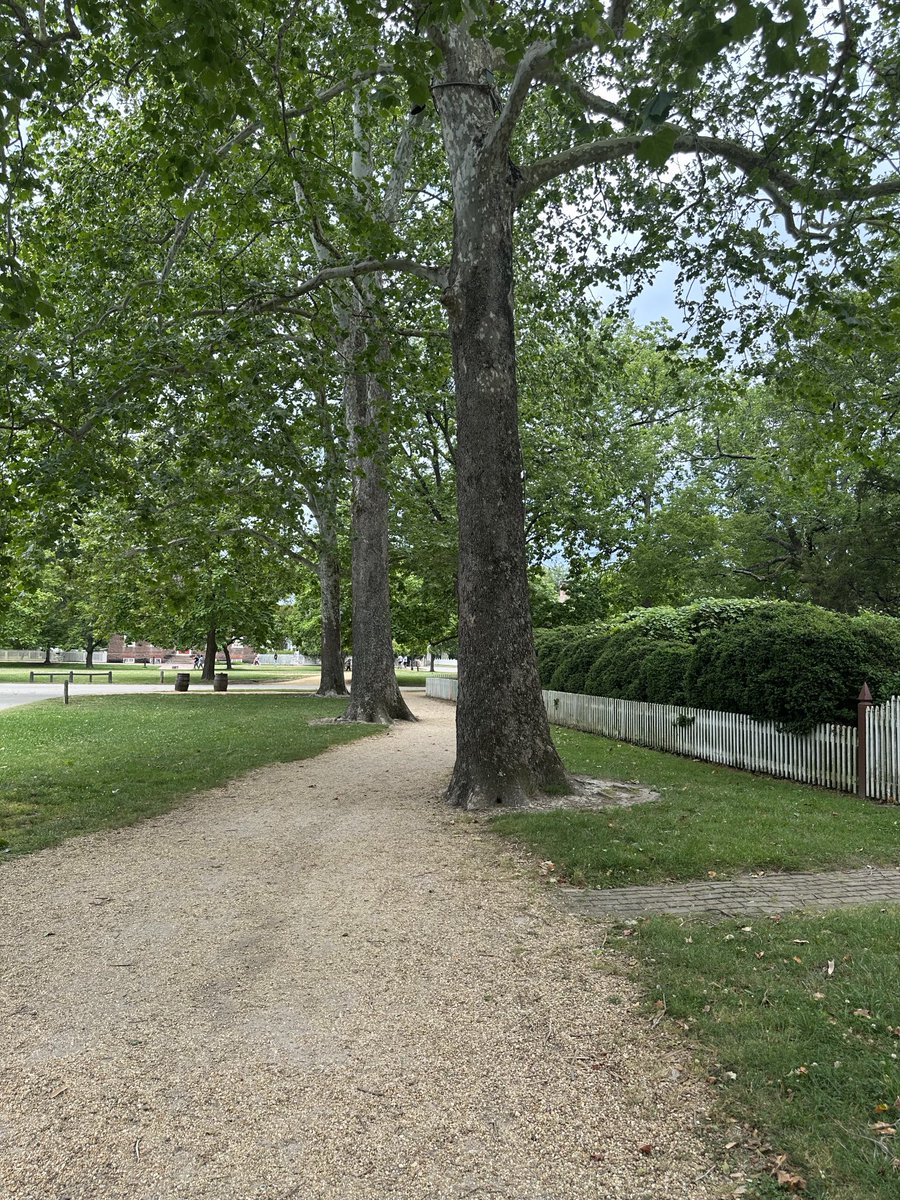 I love to walk tree lined paths through old villages. Colonial Williamsburg. I didn’t encounter a single disagreeable person the entire day.