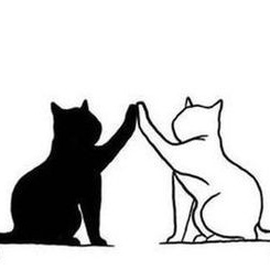 😼 tweet media