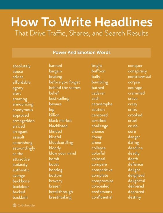 info__writer's tweet photo. let's effectively generate content with me #follow https://t.co/FhMplFQCKo