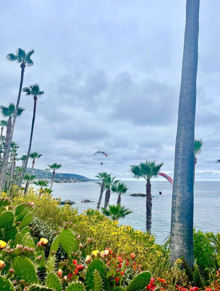 Emma55631's tweet image. 🌅⛵ Sail into the horizon and embrace the freedom of the open sea. Feel the wind in your hair, taste the salt on your lips, and let the vastness of the ocean awaken your sense of adventure. Explore new shores and let the sea be your guide. #SailAway #SeafarerSpirit #OceanCalling