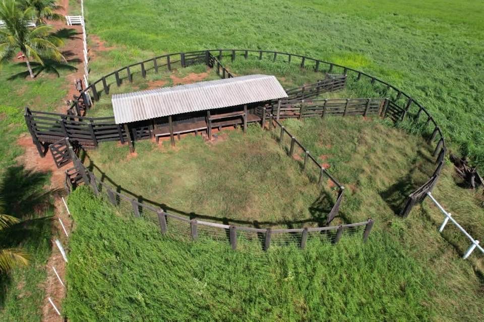 BusinnesLCR's tweet photo. Fazenda em General Carneiro, MT 🏞️ 📐 Área Total: 1.483 ha 🌿Área Aberta: 922 ha 🌱Área p/ Lavoura: 800 ha 💰 Preço: R$ 18.900,00/ha 💵 Condições: 40% entrada + 2 pagamentos anuais 🚚 Logística: Localização estratégica a 135 km de Barra do Garças e a 130 km de Primavera do Leste. https://t.co/1N6MWBbhcg