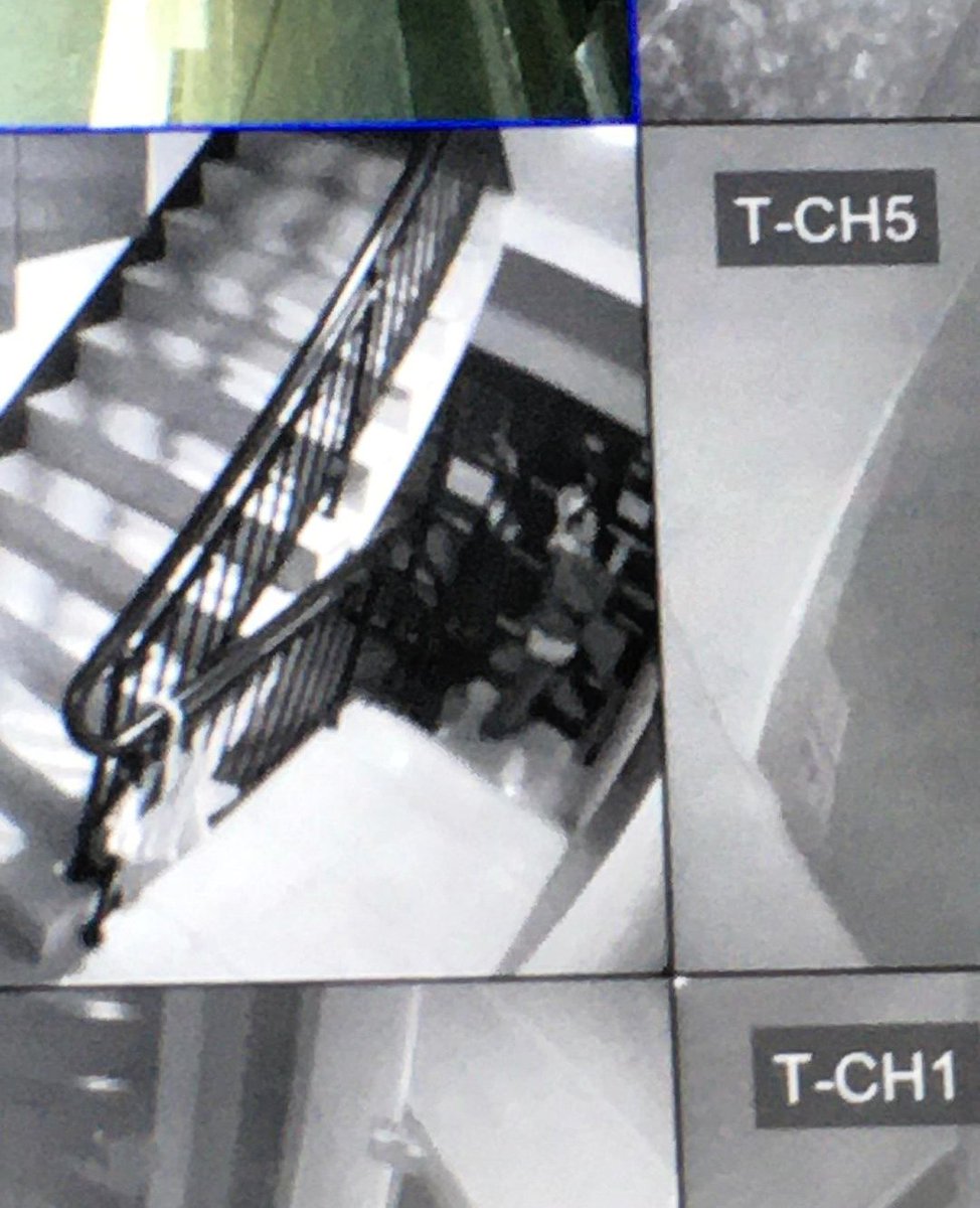 proof of life ? 🎥