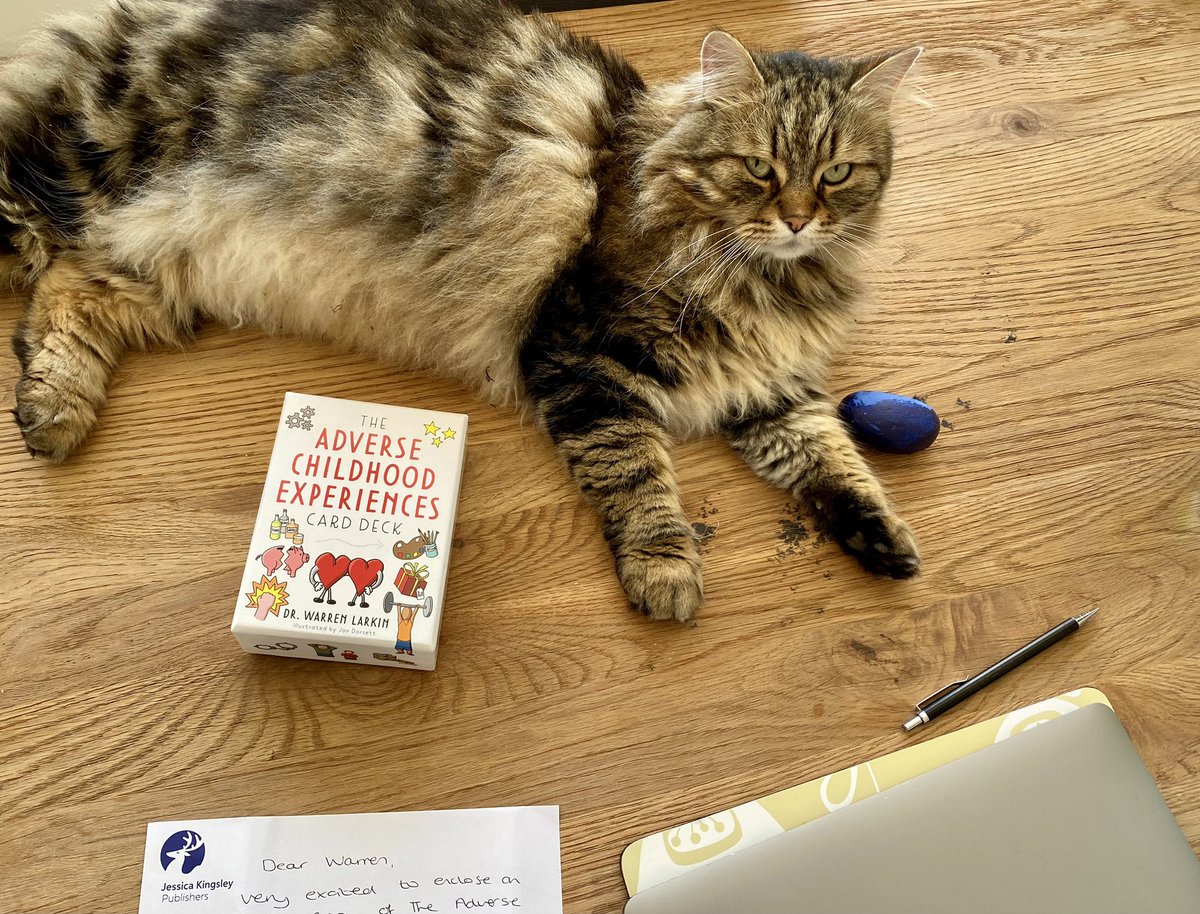 warren_larkin's tweet photo. 1/2 Really excited to receive the first deck of my #AdverseChildhoodExperiences cards from @JKPBooks Big thanks to @Steve_JKPbooks for helping me get this wonderful resource published & to my wonderful illustrator @jondorsetttweet Available for preorder now & published in August https://t.co/ZrhZPTb0oz