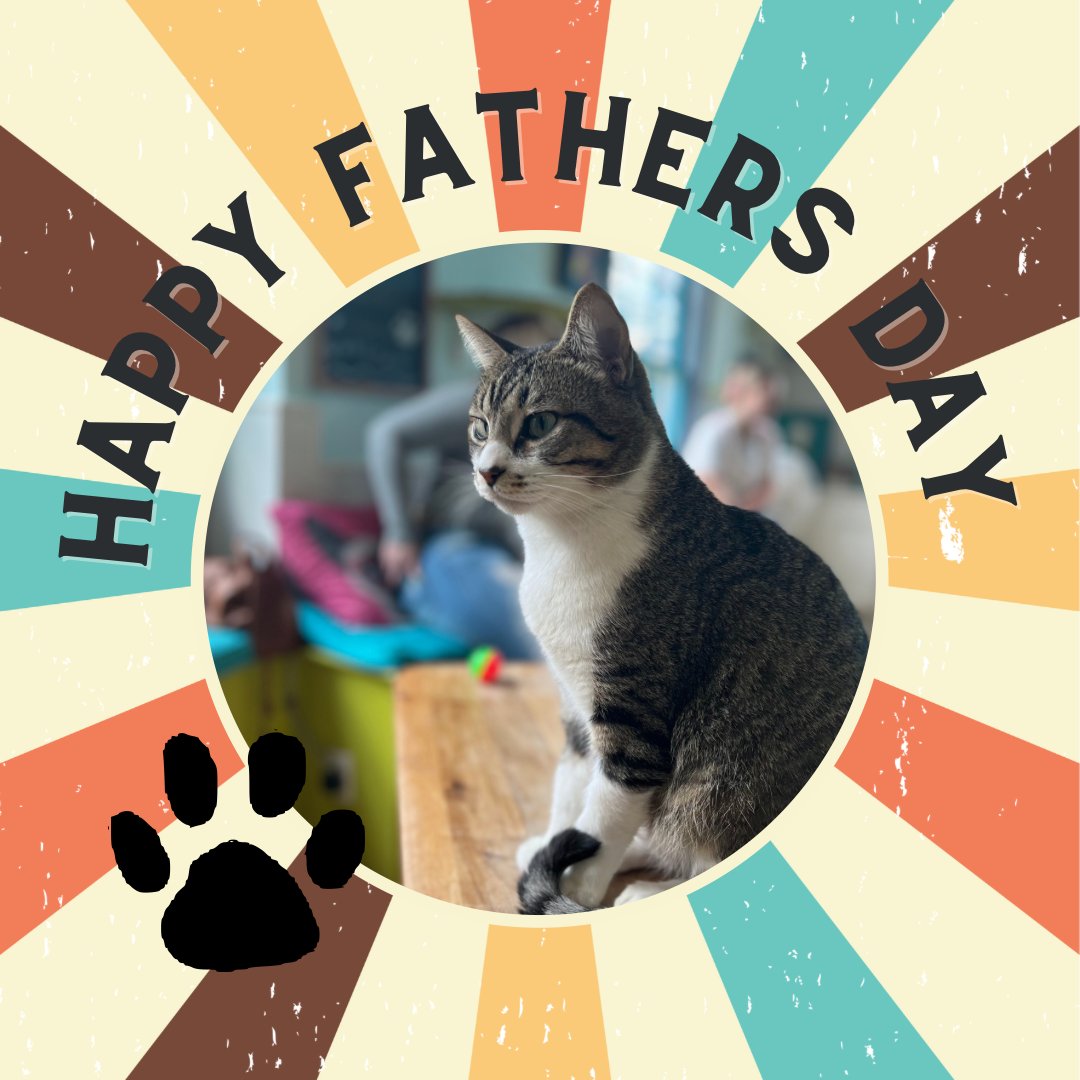 Happy Father’s Day! Or more on brand, happy PAWthers day🐾  Come see Travis and the other gatos with your pawpaws💞 Book meow to reserve your spot✨ elgatocoffeehouse.com/bookmeow 
#adoptdontshop #happyfathersday #catcafe #houstontx #houstoncatcafe #meow #adoptme #cattherapy