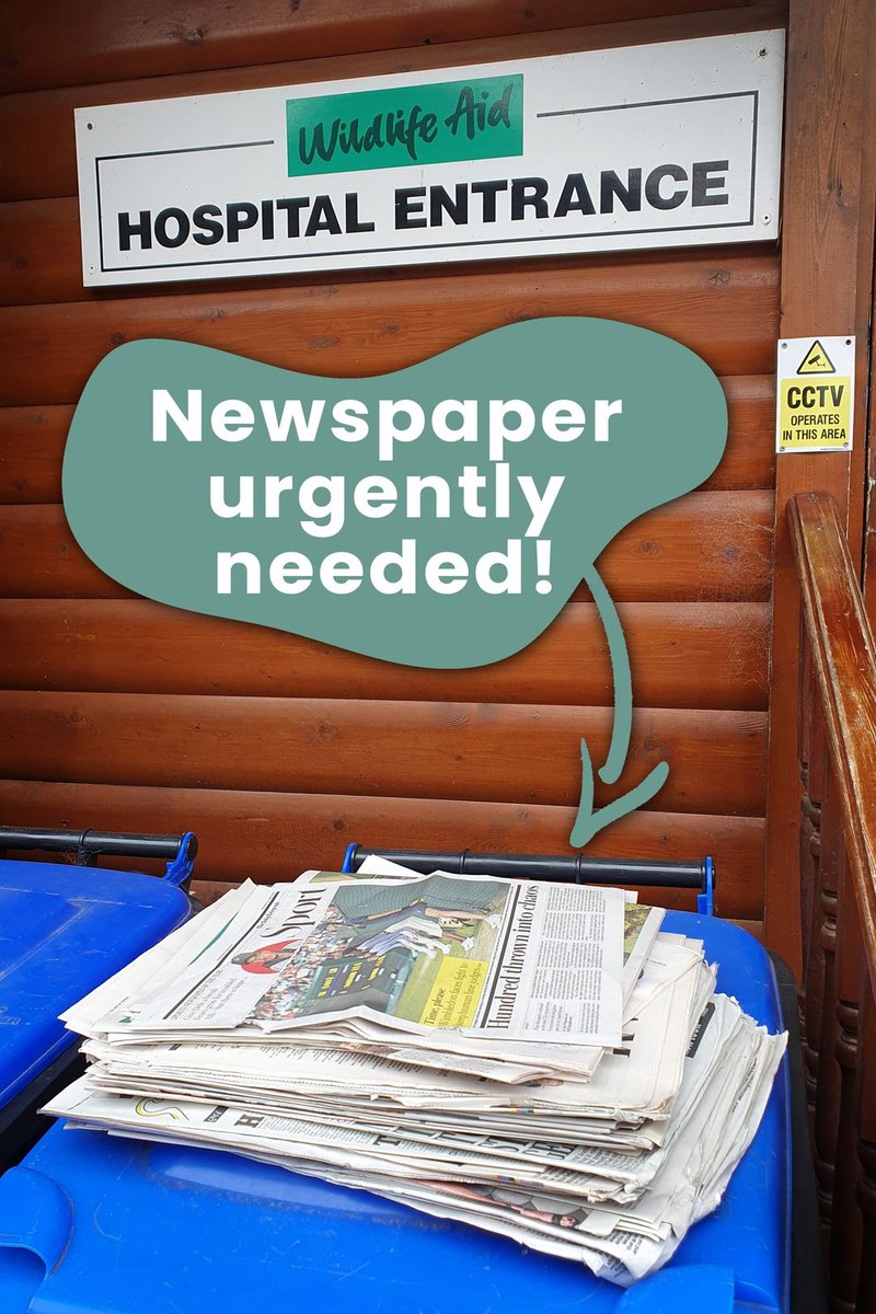 Please help! 

We are in urgent need of staple-free newspapers (not magazines/ shredded paper etc) for our cages here at Wildlife Aid. As you can see, there's not much left! 

Thank you! 🙂