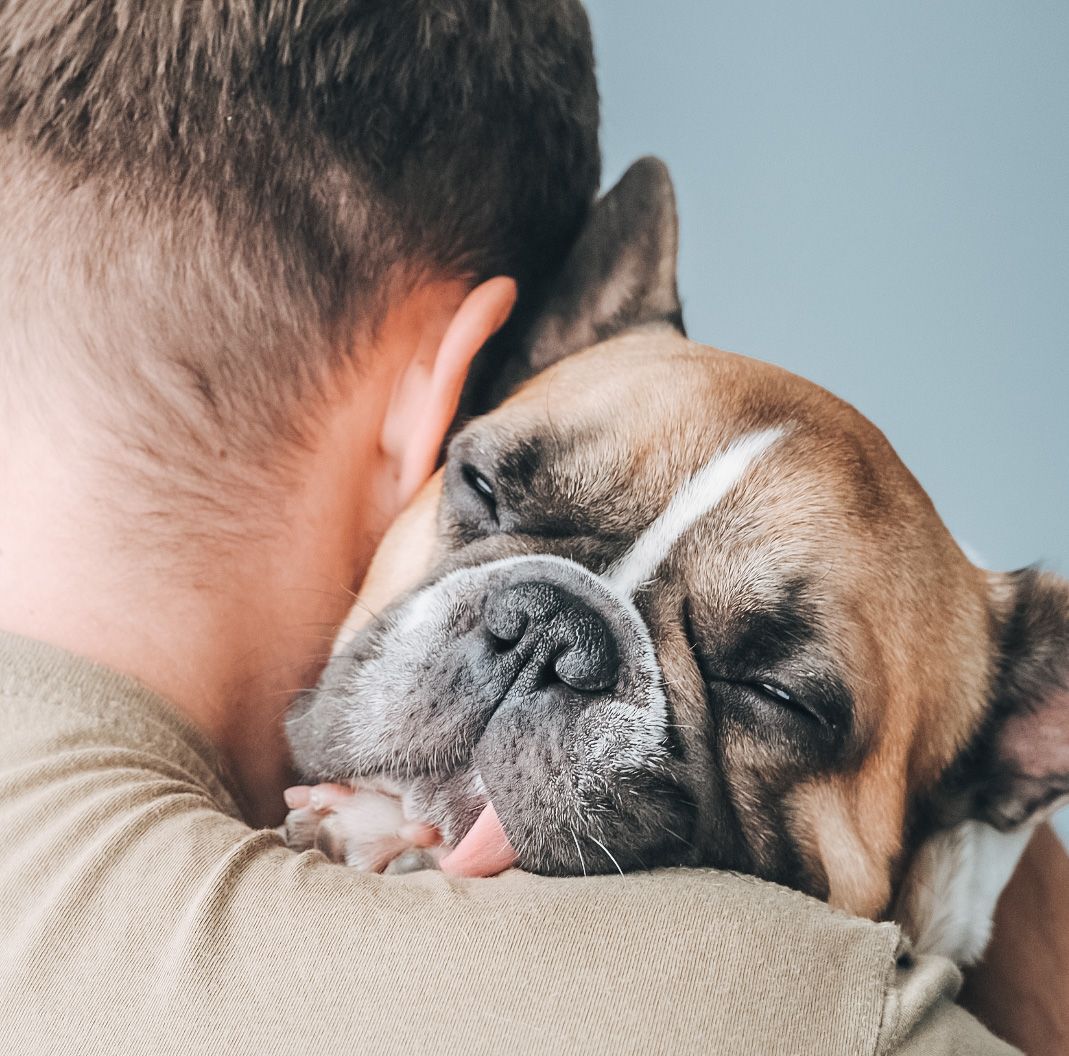 This one is dedicated to all the un-fur-gettable dads out there! 💙 Thank you today, and every other day 🐾🌍 #FathersDay 

#eattopdog #rawfeeding #dogsofinstagram #rawdogfood #dogs #dog #dads #dogstagram #dognutrition #dog #eattopdog
