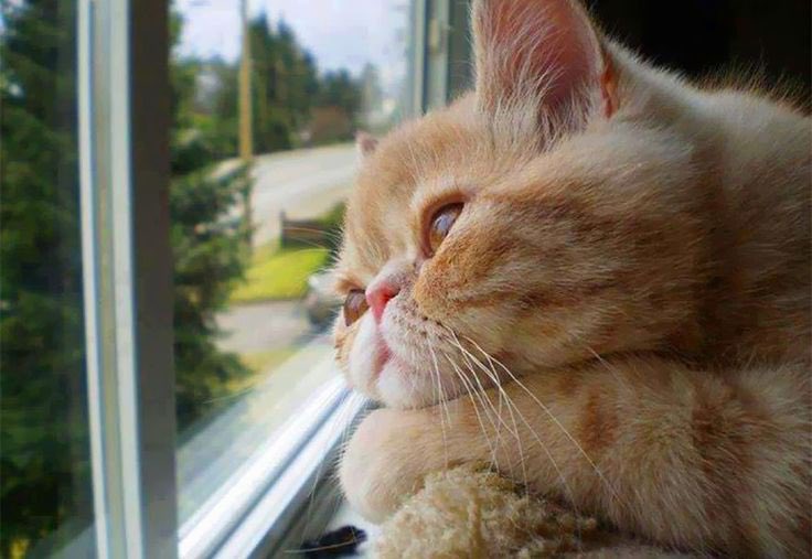 sunday mood