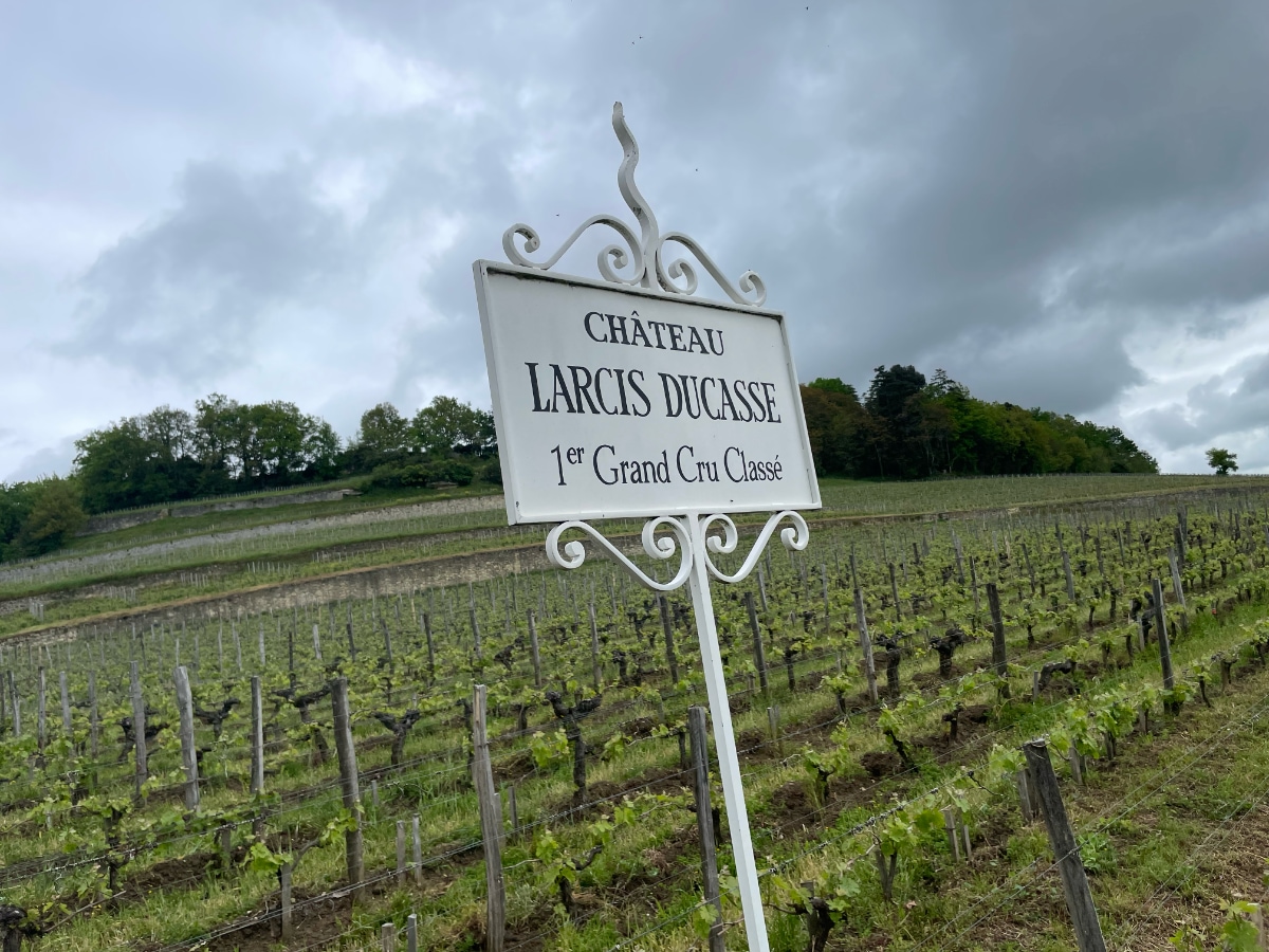 Bordeaux 2022 in 🎢 rollercoaster fase - mailchi.mp/bolomey/bordea…