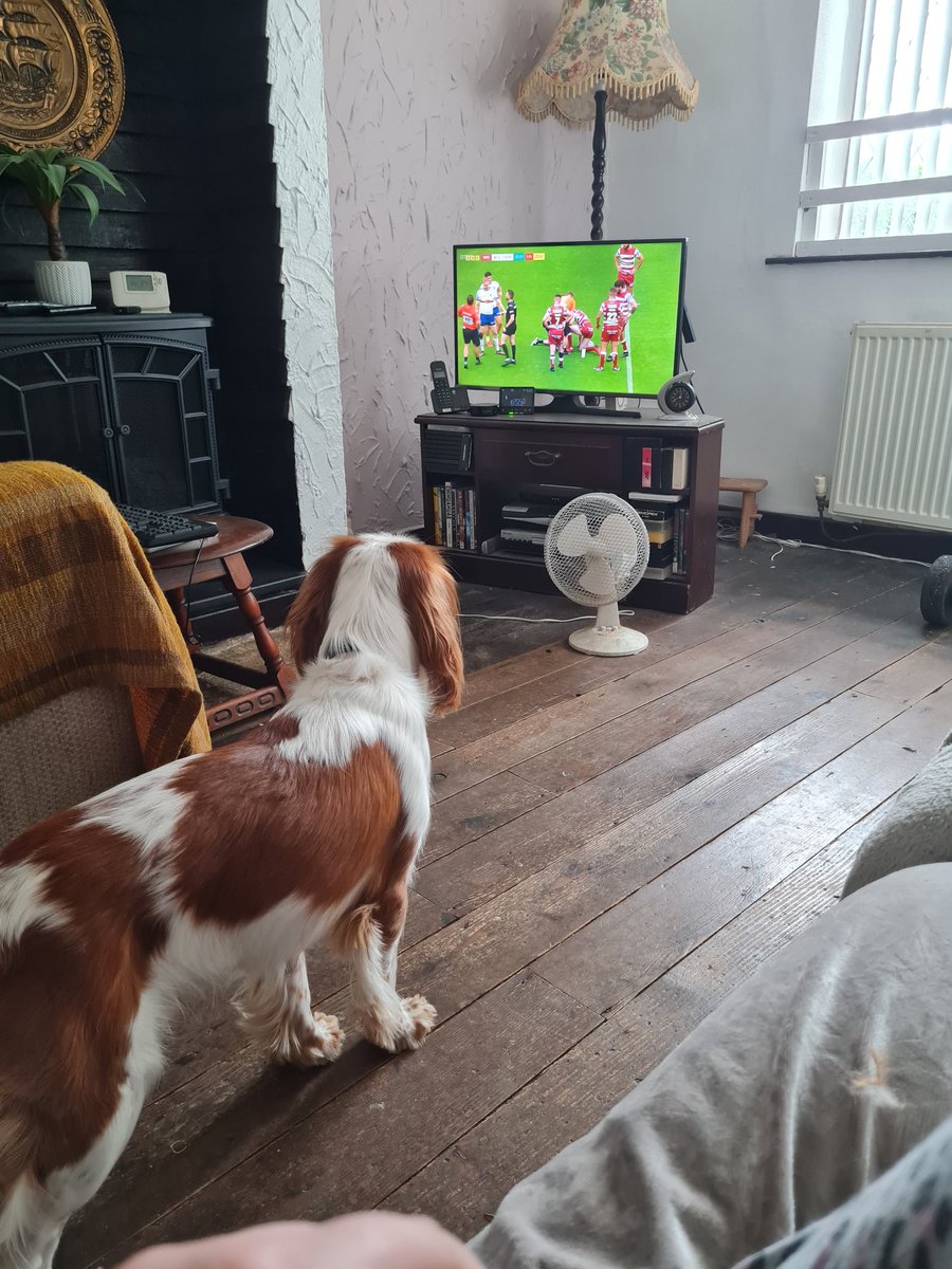 Oliver & Paddy tweet media