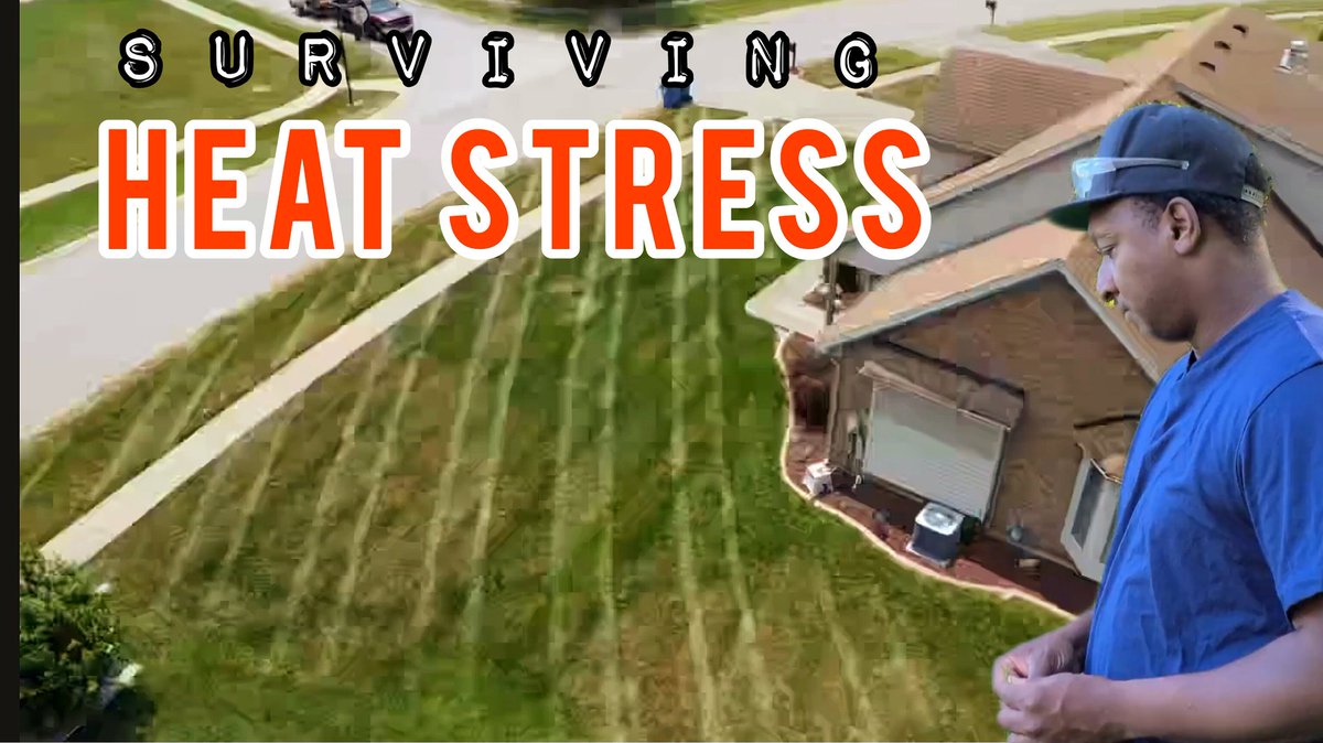 It's about that time of the year when everyone's lawn is dry. This video will show you how to survive heat stress.
👇🏾👇🏾👇🏾👇🏾👇🏾👇🏾👇🏾👇🏾👇🏾
youtu.be/J-9VdddjR0A 

#heat #Heatstress #heatwave #heatadvisory #grass #lawn #tallfescue