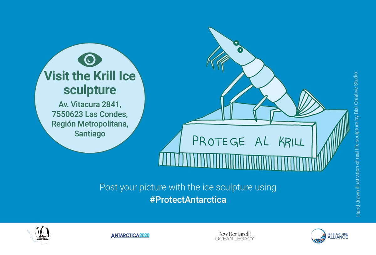 AntarcticaSouth's tweet photo. A #CCAMLR Special meeting is happening in Santiago on June 19-23.
If you’re nearby, come have a look at our #krill ice sculpture &amp; learn more about why we need to #ProtectAntarctica and how you can support.

More info here ➡️ https://t.co/wzj2tX3gs0 #Road2CCAMLR https://t.co/DGyFwRGYCe