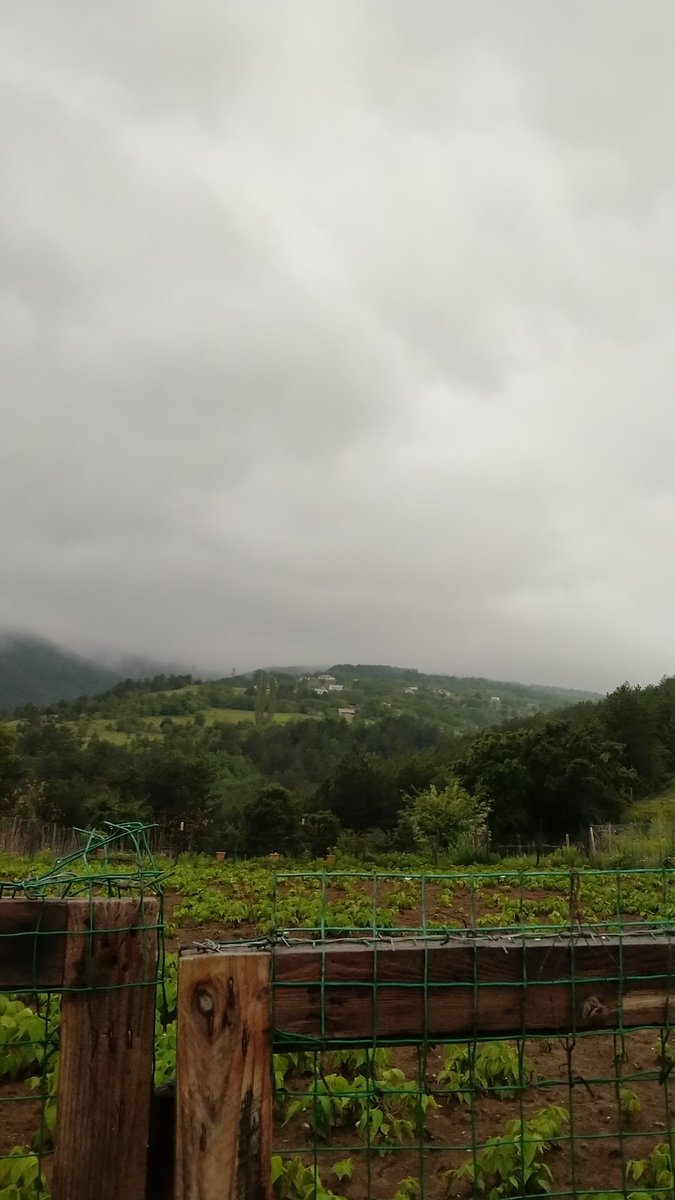 yagmuriyigor's tweet photo. Karadenizin muhteşemliğine kaç şiir yazılır ✨ https://t.co/MNdM90CdG0