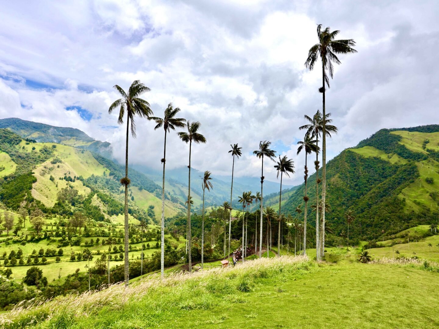 Colombia's Coffee Triangle: Pereira, Manizales And Armenia