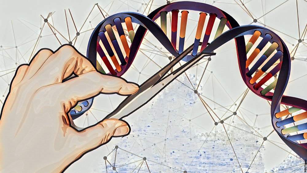 Vorige week lekte het wetsvoorstel van de Europese Commissie omtrent "planten bekomen door nieuwe genomische technieken". Een nieuwe wetgeving voor plantenveredeling met gene editing met CRISPR is meer dan noodzakelijk.

Een (lang) draadje daarover. 🧵 /1