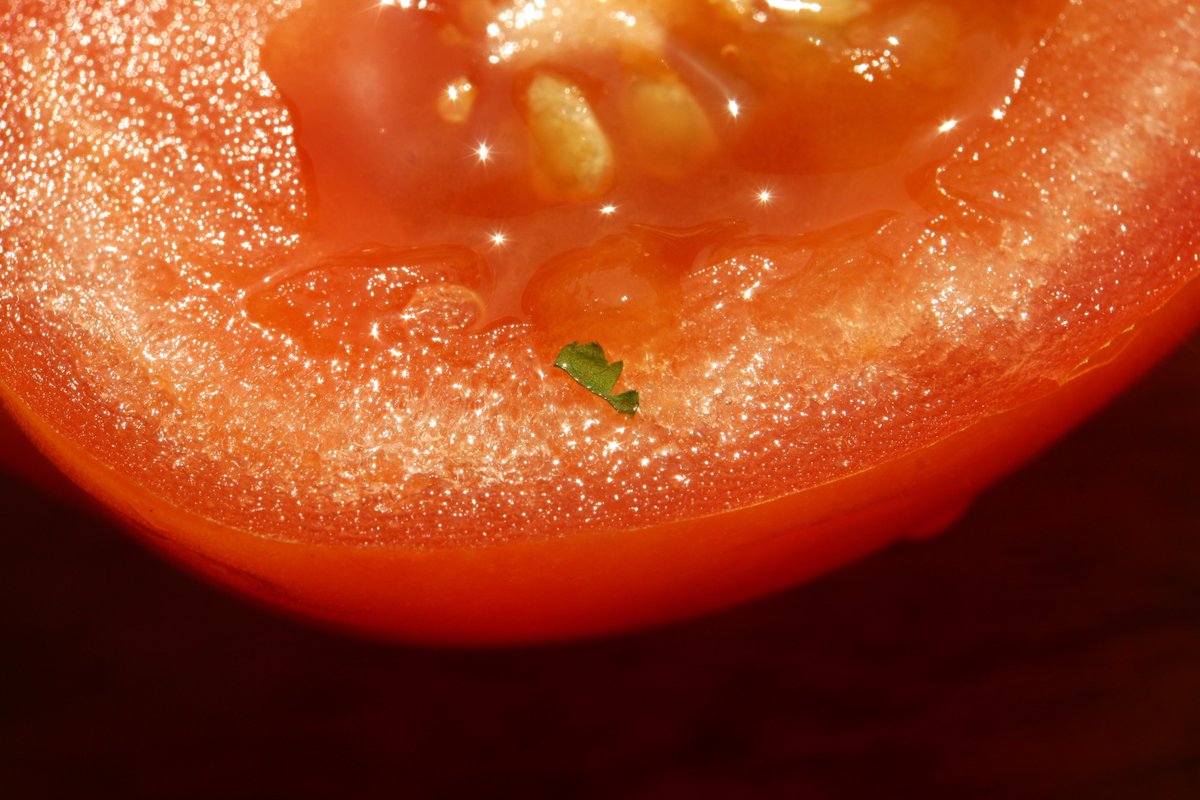 DinaT2019's tweet photo. Nahaufnahme Tomate...😋
#μεσογειακή #κουζίνα #συνταγές #tomate #Ντοματοσαλάτα #ντομάτα #Ορεκτικά
#gastronomos #gastro #restaurant 
#φωτογραφία #macrofood #μπαχαρικά #μαγείρεμα
#οικογένεια #gewürze #fotografie #Taste

https://t.co/rzqm1jaBdD

https://t.co/8WeyVkSpj5 https://t.co/QX5lxr7fE3