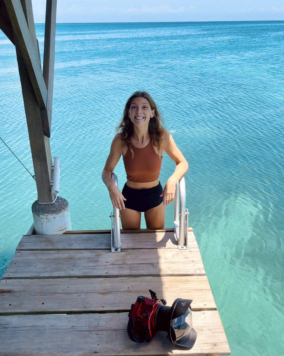 Hello from our private dock in Utila, Honduras! 🏝️ Gonna be diving here for the next couple of months, so stay tuuuned for some tropical underwater imagery! 🐠🤿 #Underwater #NFTCommunity #Honduras