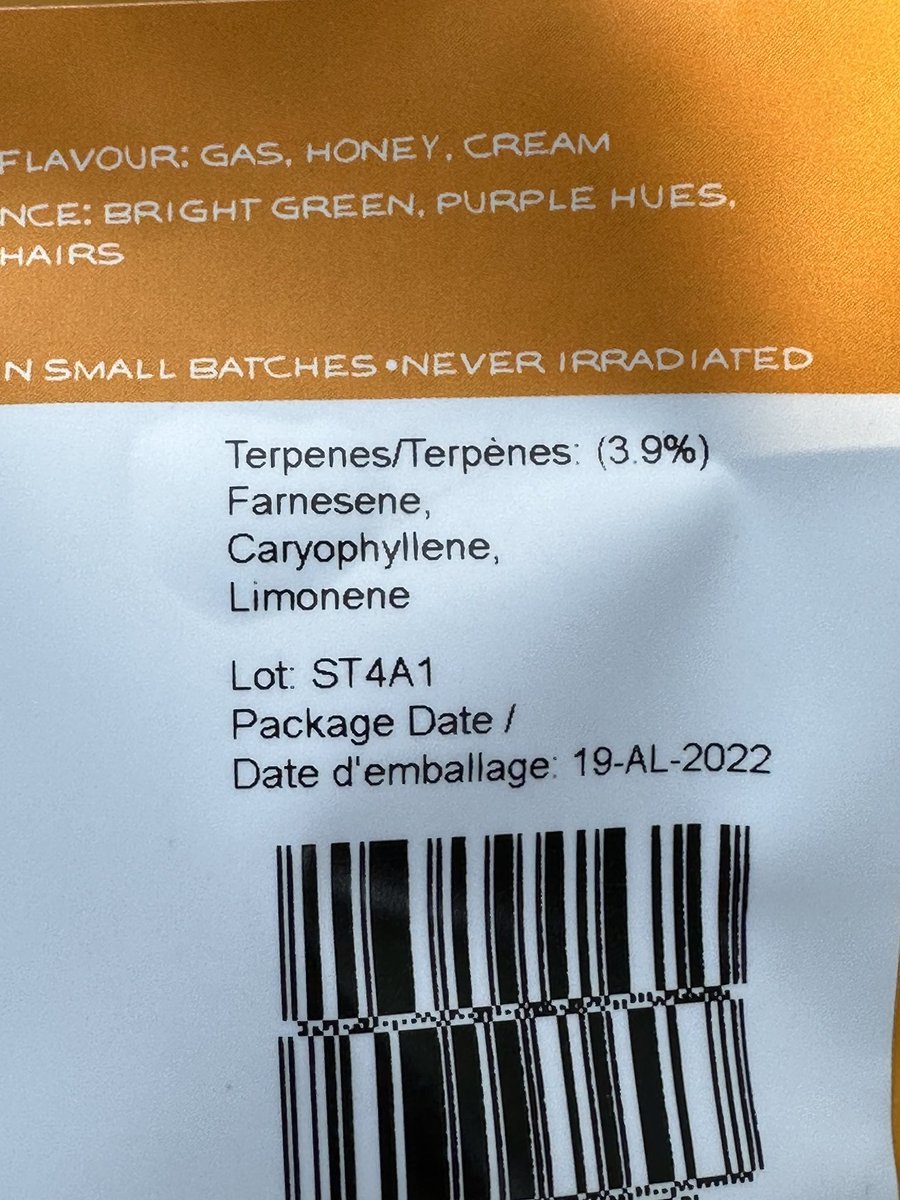 Paul Macchiusi tweet media