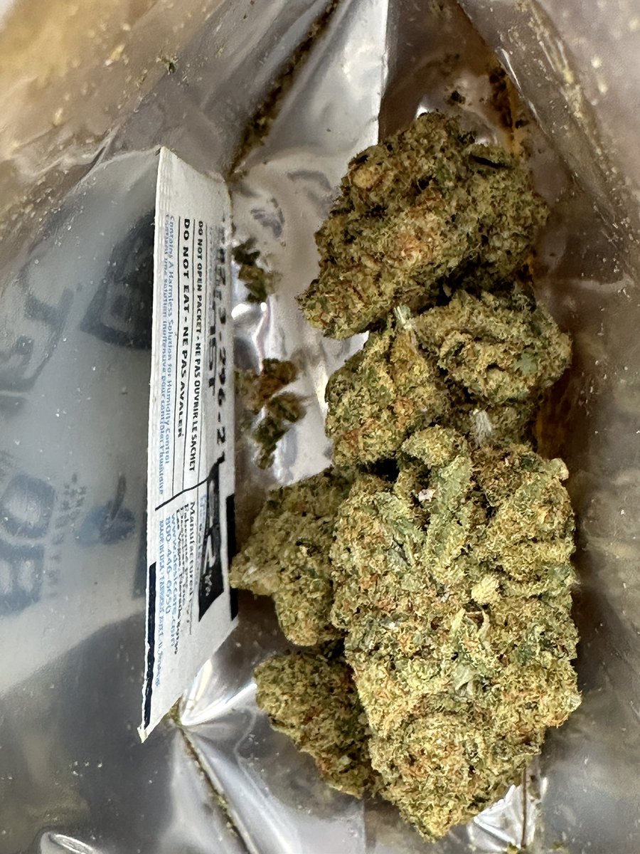 Paul Macchiusi tweet media