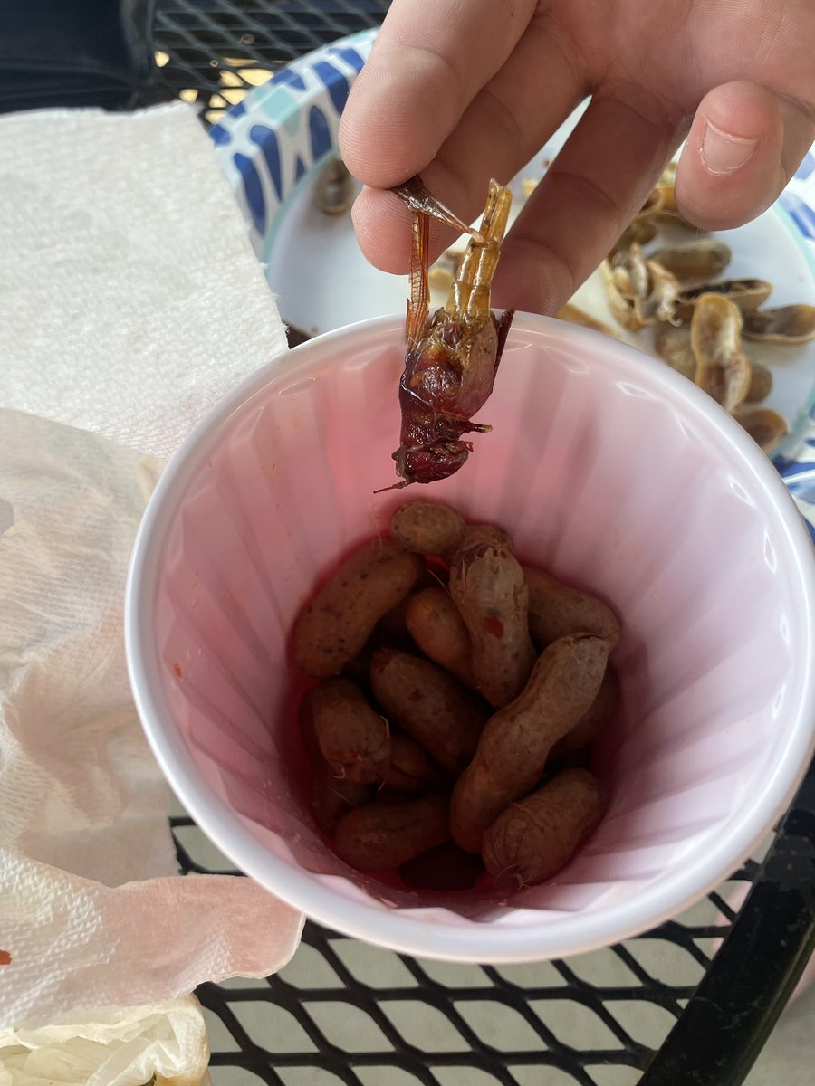 mereboles's tweet photo. My friends and I were enjoying boiled peanuts by the pool on a nice summer day and we were surprised to pick up this bug from the batch. Absolutely appalled! So that’s why I’m here, to put @peanutpatchbp on blast https://t.co/Kn20HrIV0Y