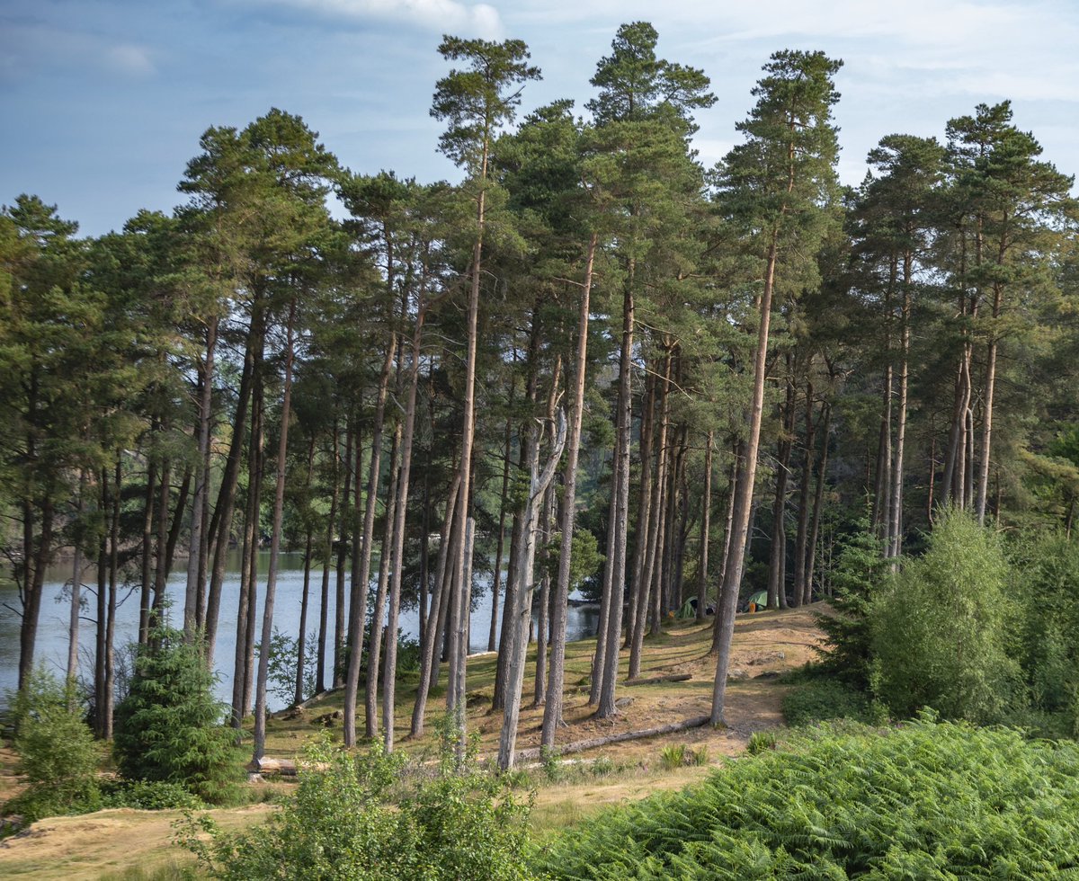 Robin Cooper tweet media