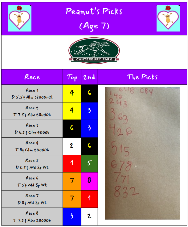 HandicappingT3's tweet photo. Happy #FathersDay enjoy #freehorseracingtips from my daughter today! I love #horseracing, but sharing it with #peanutspicks live @CanterburyPark is what I live for.

T3 #SantaAnitaPark picks grid: https://t.co/CJ7K3MtbEB https://t.co/J0fReONSQj
