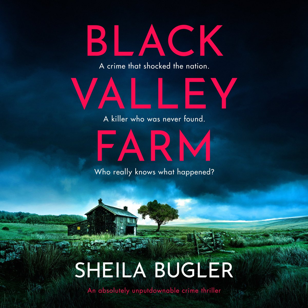 Sneak preview of the opening chapter #BlackValleyFarm #crimereadingmonth sheilabugler.co.uk/black-valley-f…